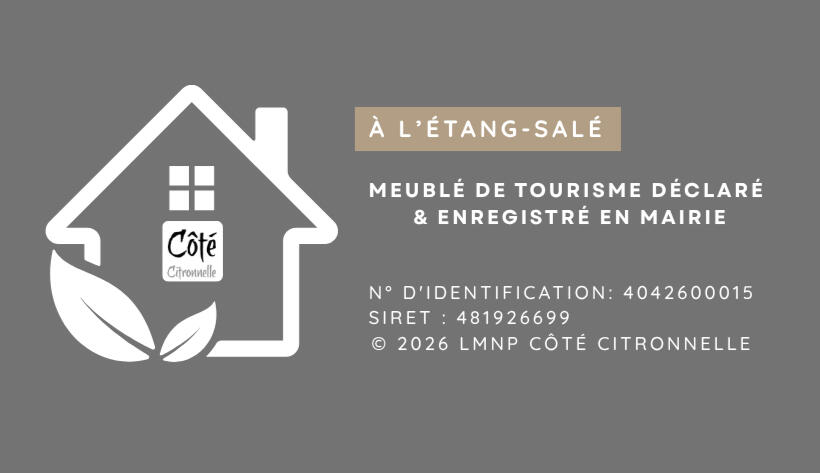 Booking & Airbnb - Location de vacances à l'île de la Réunion